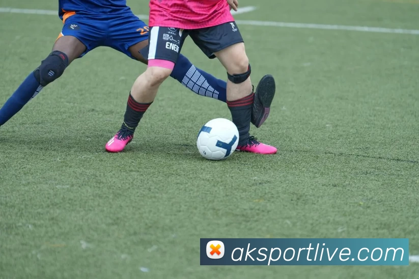 App Interface Preview